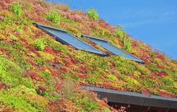 Ousefleet living roof systems
