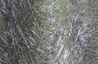 Ousefleet fibreglass roof work